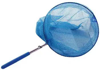 Extendable Fishing Net - Assorted