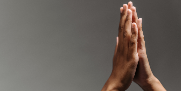 The Baytree – Web Article (22)